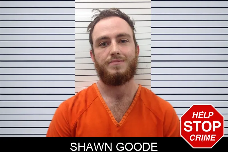 Shawn Goode mugshot – Pickens County , Georgia Shawn Goode mugshot