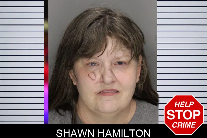 Shawn Hamilton mugshot – Cobb County , Georgia Shawn Hamilton mugshot