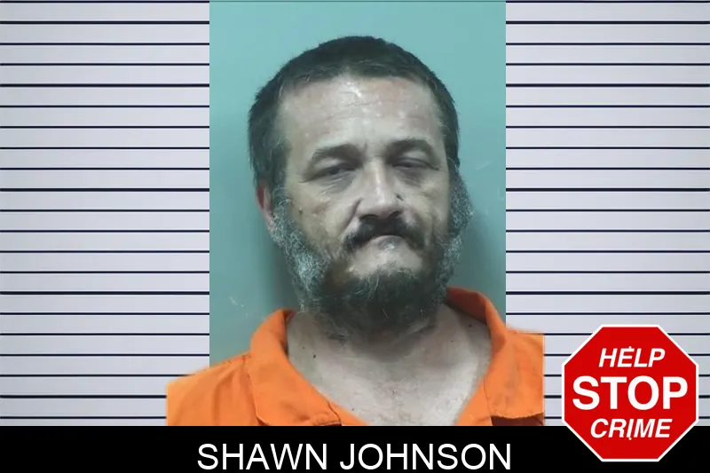 Shawn Johnson mugshot – Bleckley County , Georgia Shawn Johnson mugshot
