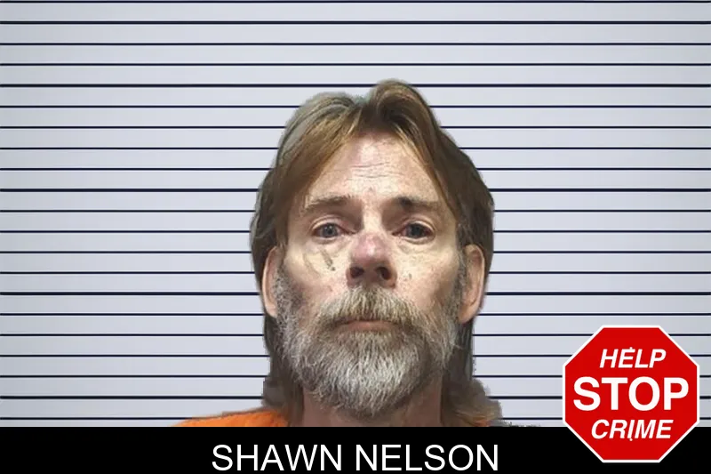 Shawn Nelson mugshot