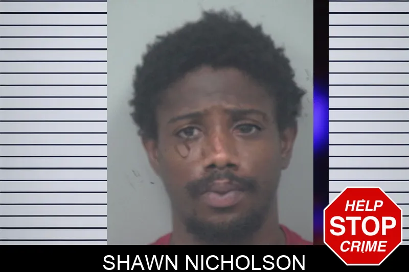 Shawn Nicholson mugshot – Gwinnett County , Georgia Shawn Nicholson mugshot
