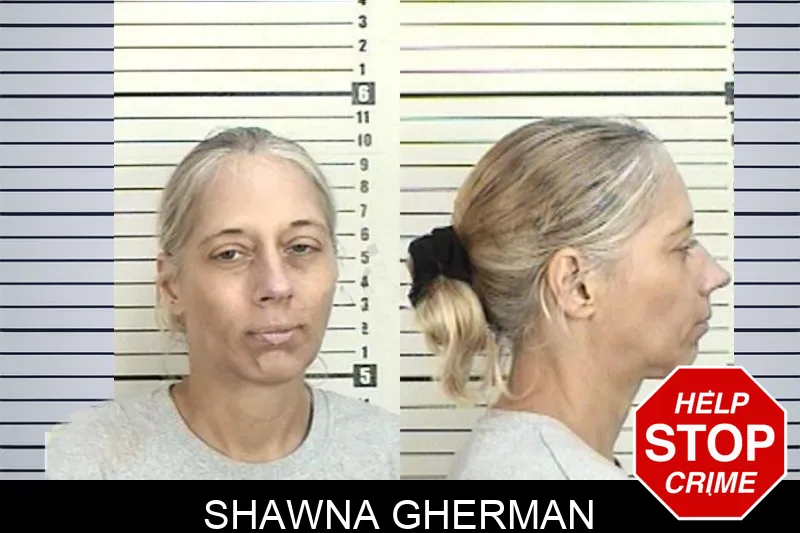 Shawna Gherman mugshot