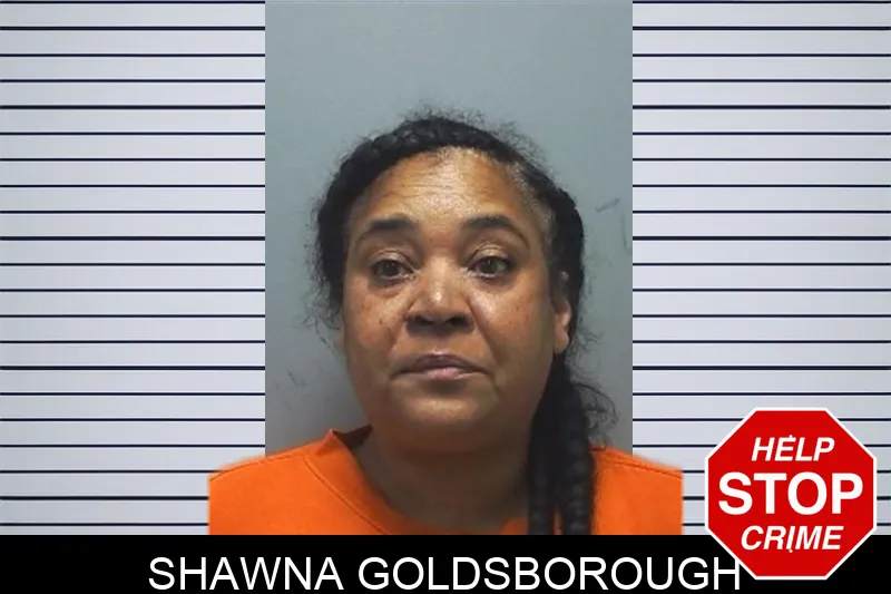 Shawna Goldsborough mugshot – Cherokee County , Georgia Shawna Goldsborough mugshot