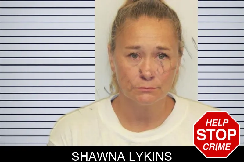 Shawna Lykins mugshot