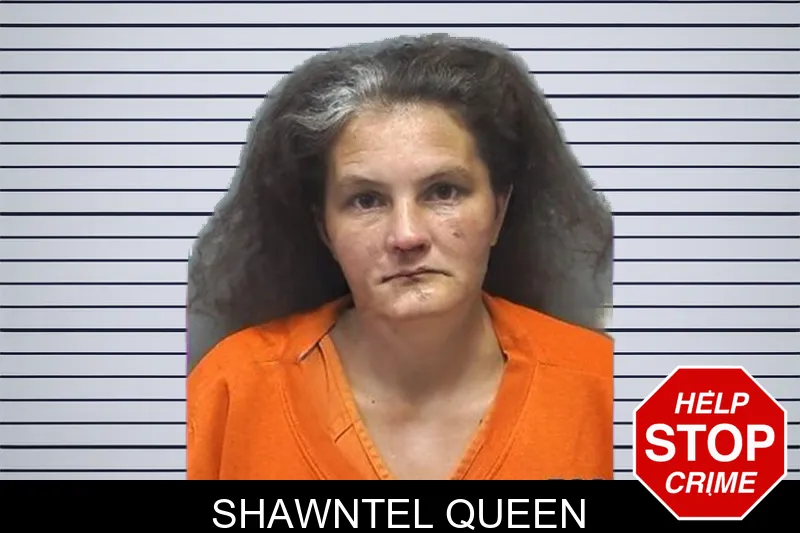 Shawntel Queen mugshot