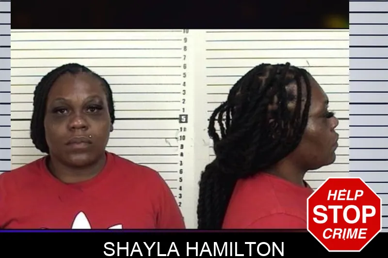 Shayla Hamilton mugshot – Camden County , Georgia Shayla Hamilton mugshot