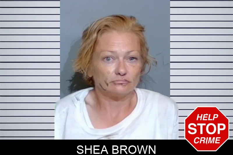 Shea Brown mugshot