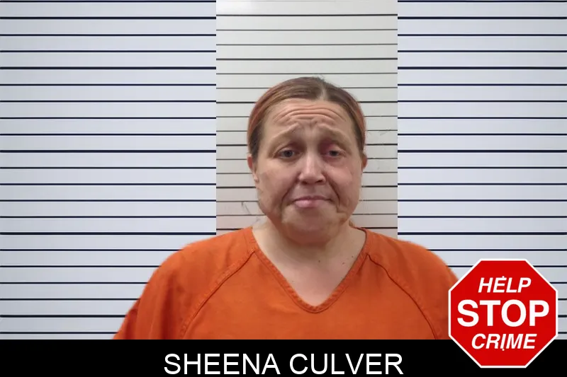Sheena Culver mugshot – Pickens County , Georgia Sheena Culver mugshot