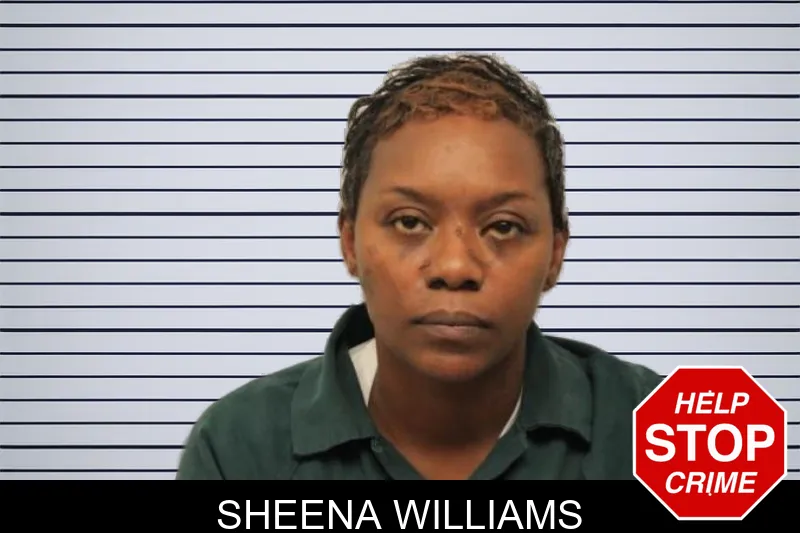 Sheena Williams mugshot – Chatham County , Georgia Sheena Williams mugshot