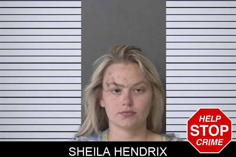 Sheila Hendrix mugshot – Liberty County , Georgia Sheila Hendrix mugshot