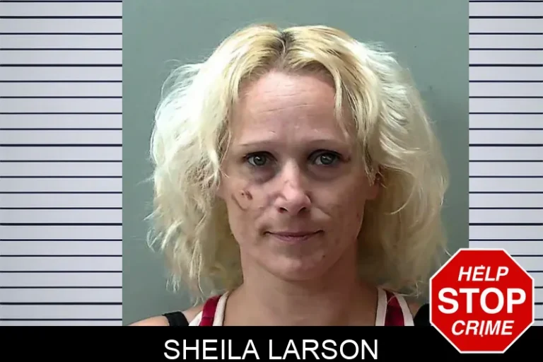 Sheila Larson mugshot – Towns County , Georgia Sheila Larson