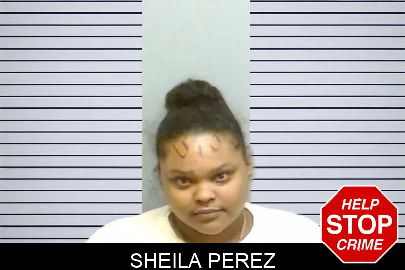 Sheila Perez mugshot – Fulton County , Georgia Sheila Perez mugshot
