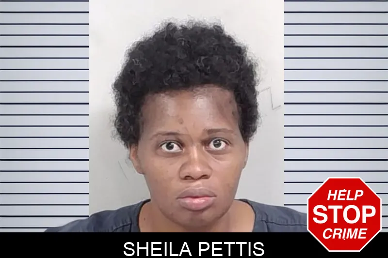 Sheila Pettis mugshot – Lowndes County , Georgia Sheila Pettis mugshot