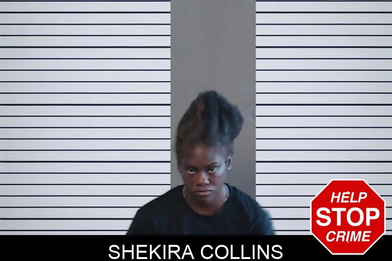 Shekira Collins mugshot – DeKalb County , Georgia Shekira Collins mugshot