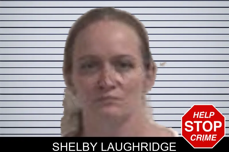 Shelby Laughridge mugshot – Henry County , Georgia Shelby Laughridge mugshot