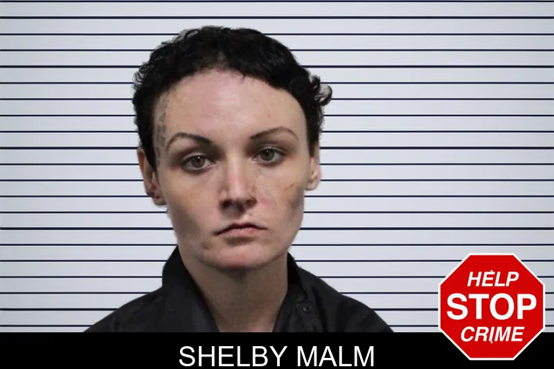 Shelby Malm mugshot