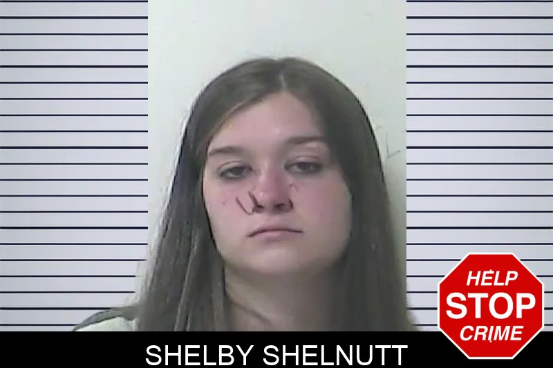 Shelby Shelnutt mugshot