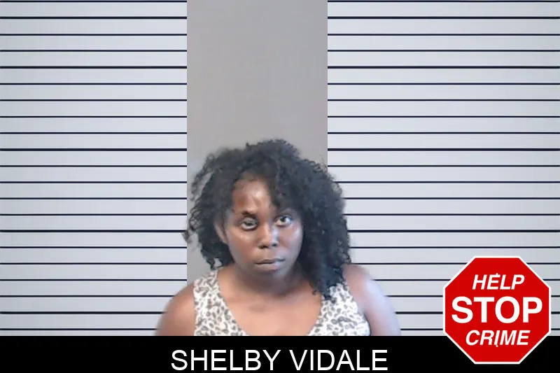 Shelby Vidale mugshot – DeKalb County , Georgia Shelby Vidale mugshot