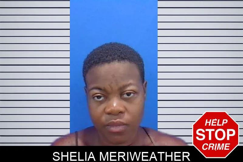 Shelia Meriweather mugshot – Troup County , Georgia Shelia Meriweather mugshot