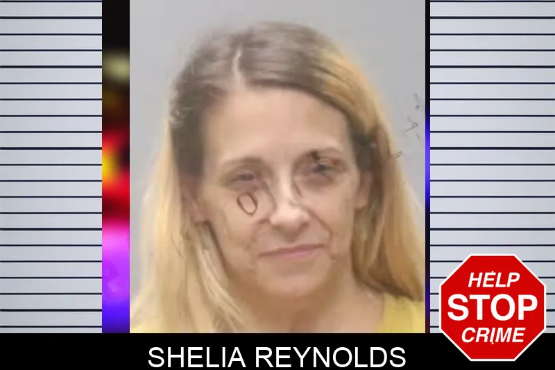 Shelia Reynolds mugshot