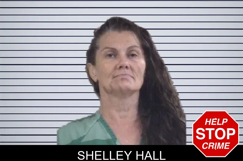 Shelley Hall mugshot – Whitfield County , Georgia Shelley Hall mugshot