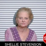 Shellie Stevenson mugshot – Glynn County , Georgia Shellie Stevenson mugshot