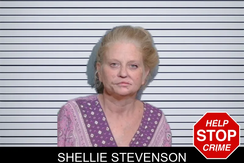 Shellie Stevenson mugshot – Glynn County , Georgia Shellie Stevenson mugshot