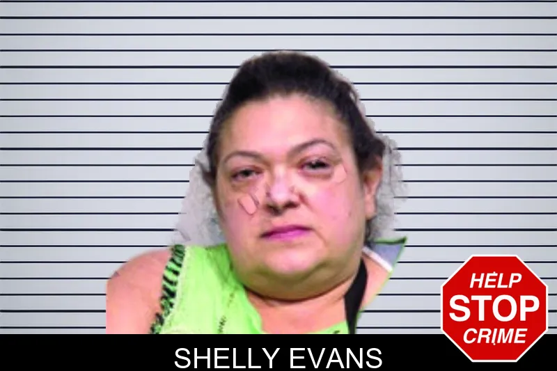 Shelly Evans mugshot