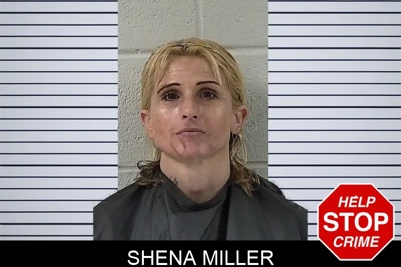 Shena Miller mugshot – Elbert County , Georgia Shena Miller mugshot