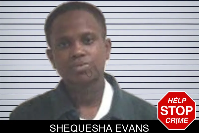 Shequesha Evans mugshot