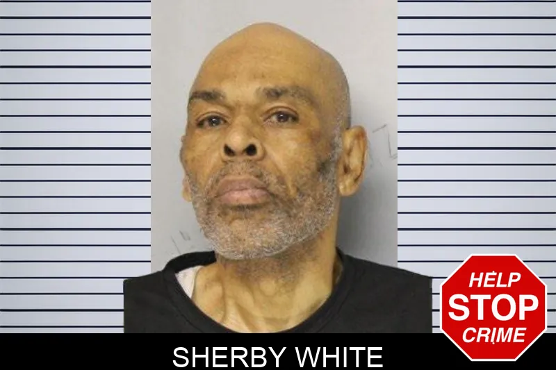 Sherby White mugshot – Hall County , Georgia Sherby White mugshot