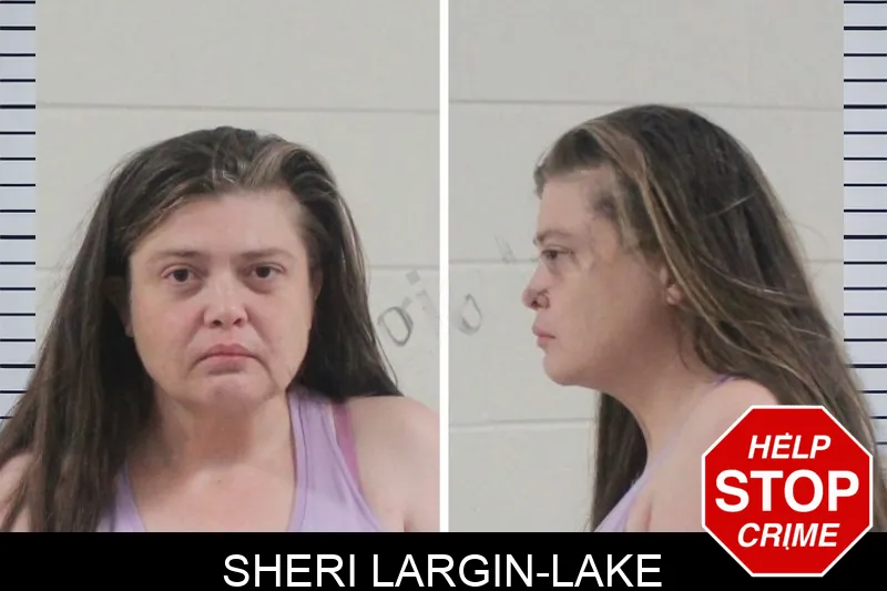 Sheri Largin-Lake mugshot – Houston County , Georgia Sheri Largin-Lake mugshot