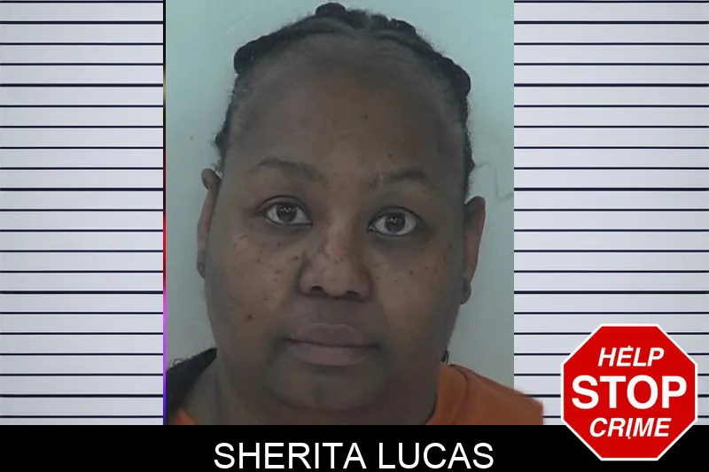 Sherita Lucas mugshot – Fayette County , Georgia Sherita Lucas mugshot