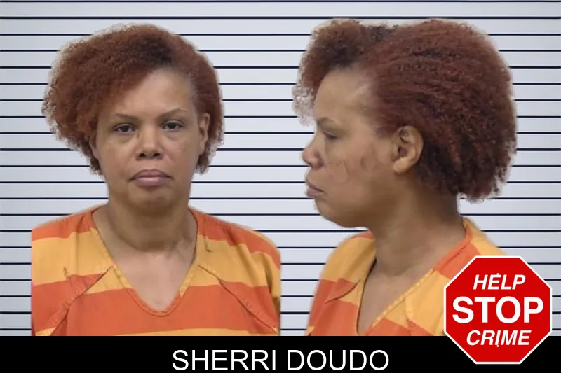 Sherri Doudo mugshot – Paulding County , Georgia Sherri Doudo mugshot