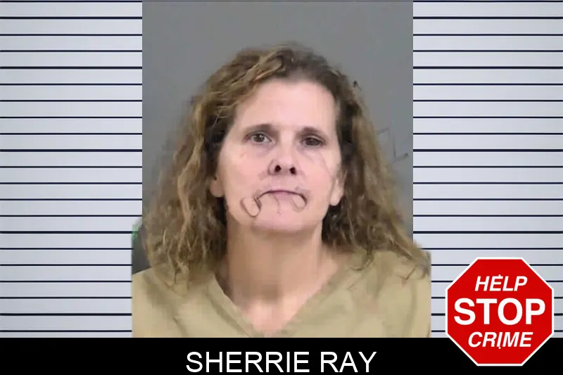 Sherrie Ray mugshot – Gordon County , Georgia Sherrie Ray mugshot