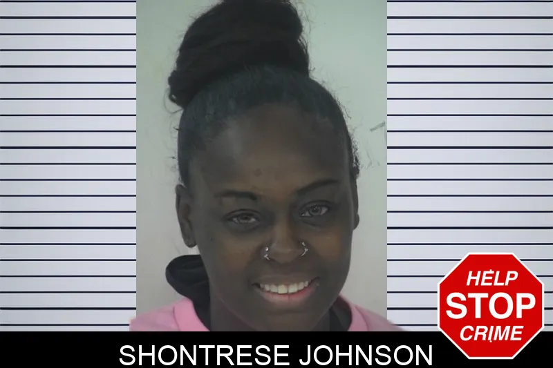 Shontrese Johnson mugshot