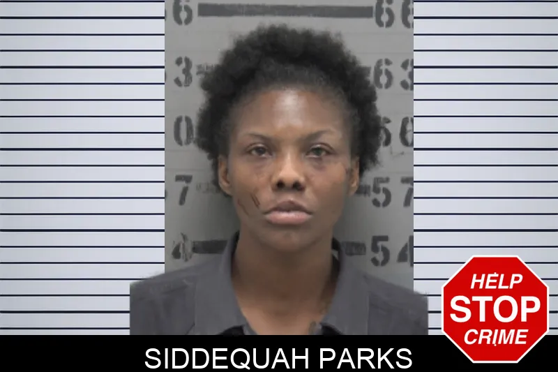 Siddequah Parks mugshot – Dougherty County , Georgia Siddequah Parks mugshot
