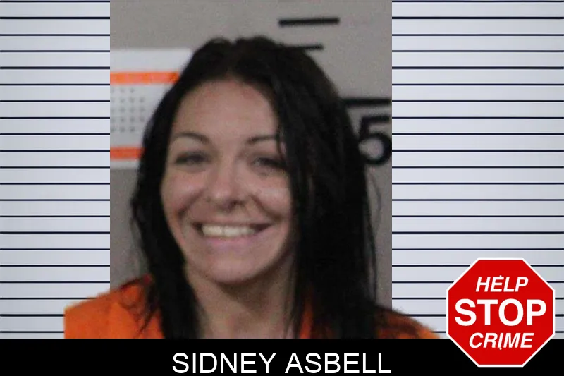 Sidney Asbell mugshot – Lamar County , Georgia Sidney Asbell mugshot
