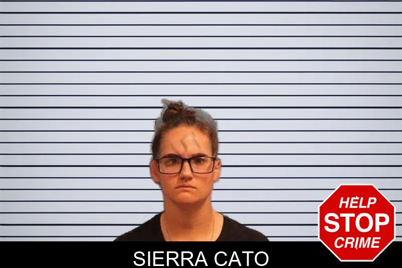 Sierra Cato mugshot – Monroe County , Georgia Sierra Cato mugshot