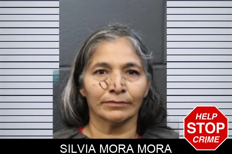 Silvia Mora Mora mugshot – Forsyth County , Georgia Silvia Mora Mora mugshot