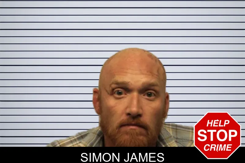 Simon James mugshot – Chatham County , Georgia Simon James mugshot