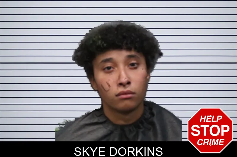 Skye Dorkins mugshot