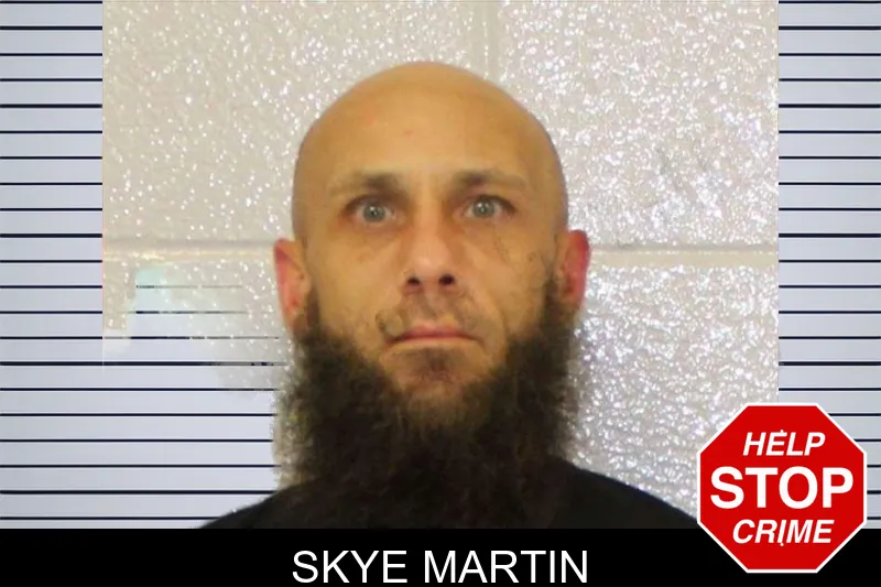Skye Martin mugshot – Carroll County , Georgia Skye Martin mugshot