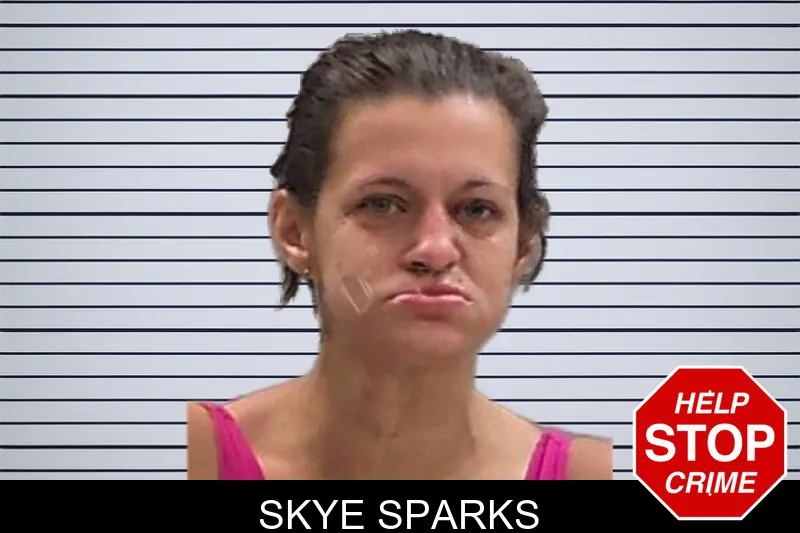 Skye Sparks mugshot – Baldwin County , Georgia Skye Sparks mugshot