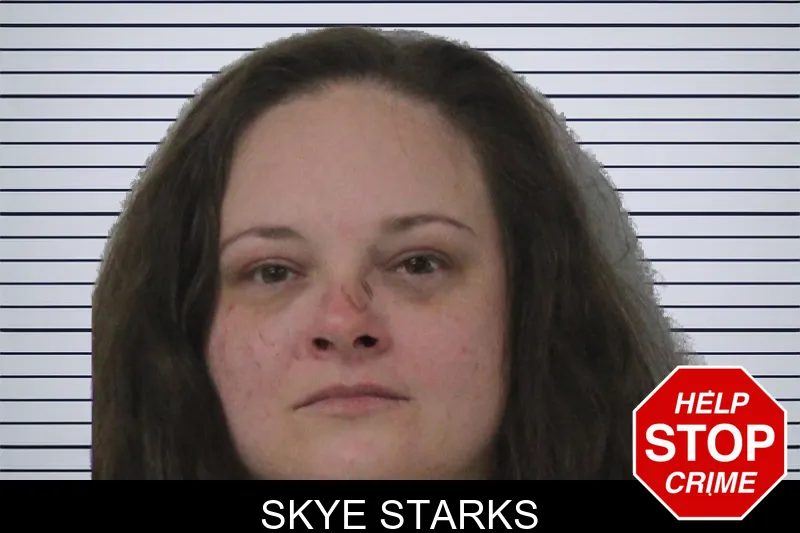 Skye Starks mugshot – Mcintosh County , Georgia Skye Starks mugshot