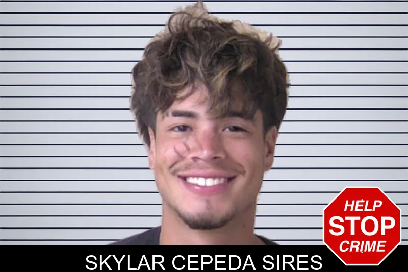 Skylar Cepeda Sires mugshot – Walker County , Georgia Skylar Cepeda Sires mugshot