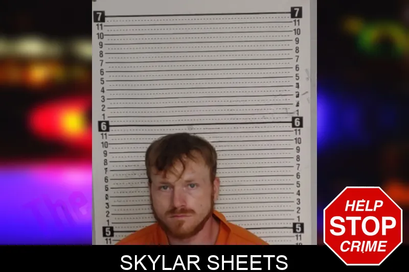 Skylar Sheets mugshot – Rockdale County , Georgia Skylar Sheets mugshot