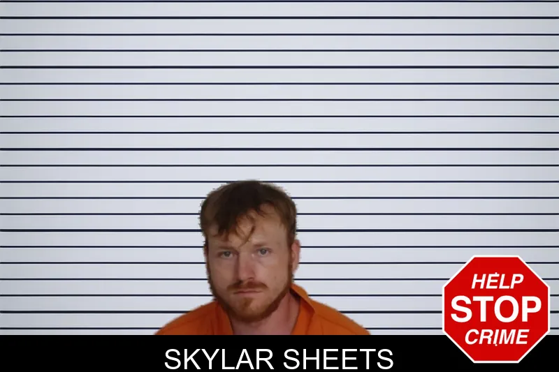 Skylar Sheets mugshot – Rockdale County , Georgia Skylar Sheets mugshot