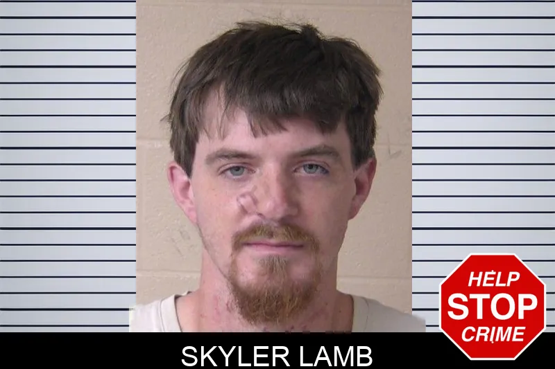 Skyler Lamb mugshot – Walker County , Georgia Skyler Lamb mugshot