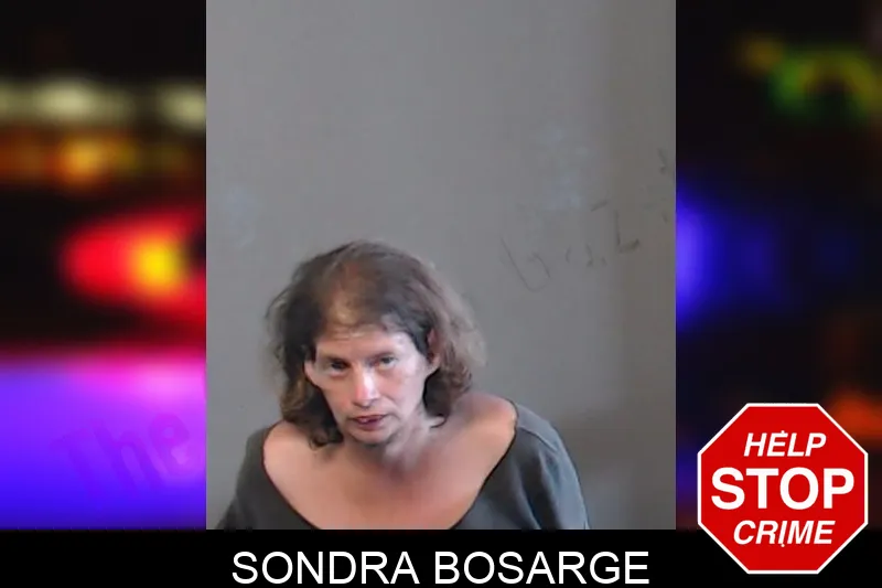 Sondra Bosarge mugshot – DeKalb County , Georgia Sondra Bosarge mugshot